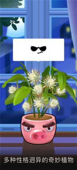 我有个花园畅想版52677