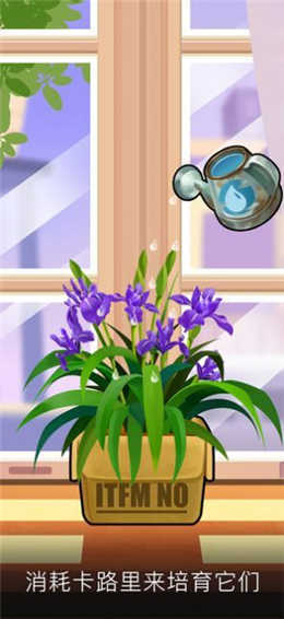 我有个花园畅想版52677