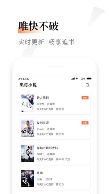 黑莓小说纯净版2