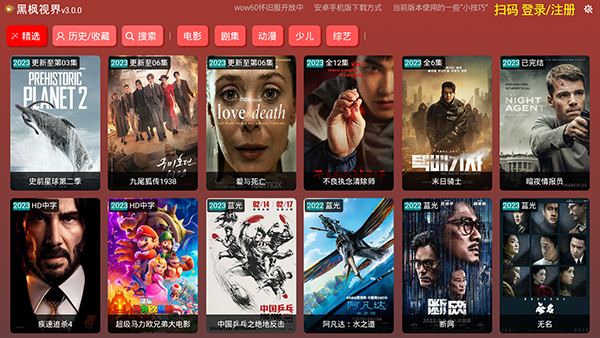黑枫视界