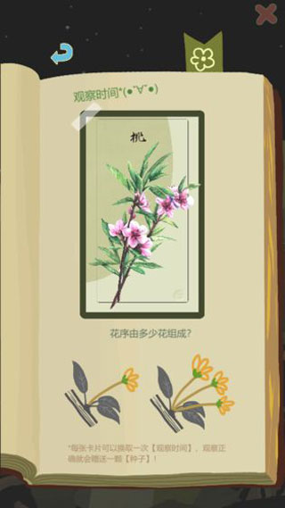 老农种树最新版43236