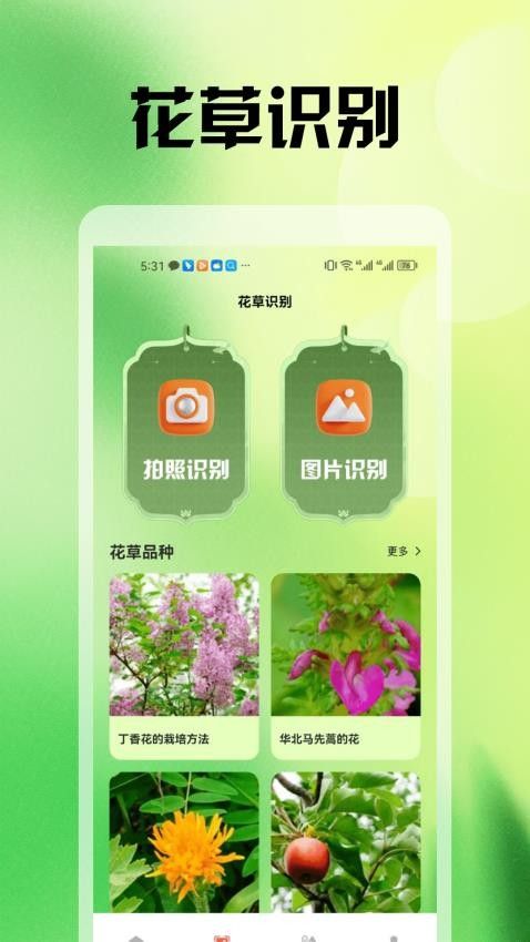 神农世家花草识别0