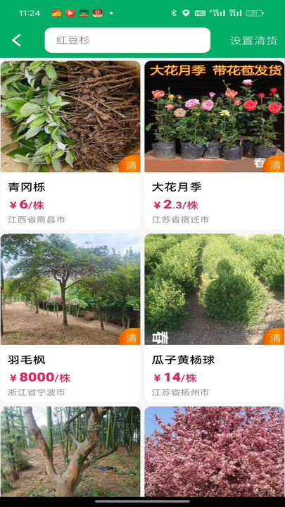 春种0