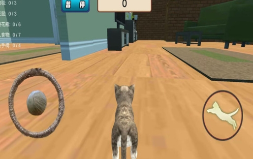 猫猫游乐园1