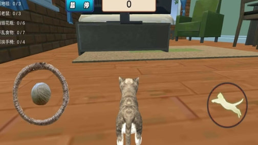 猫猫游乐园2