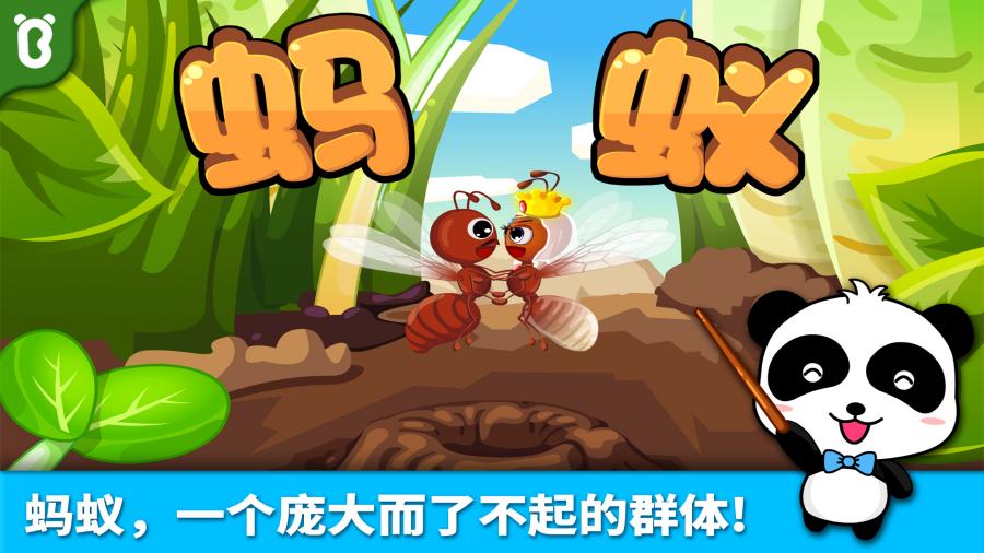 宝宝认蚂蚁宝宝巴士52388