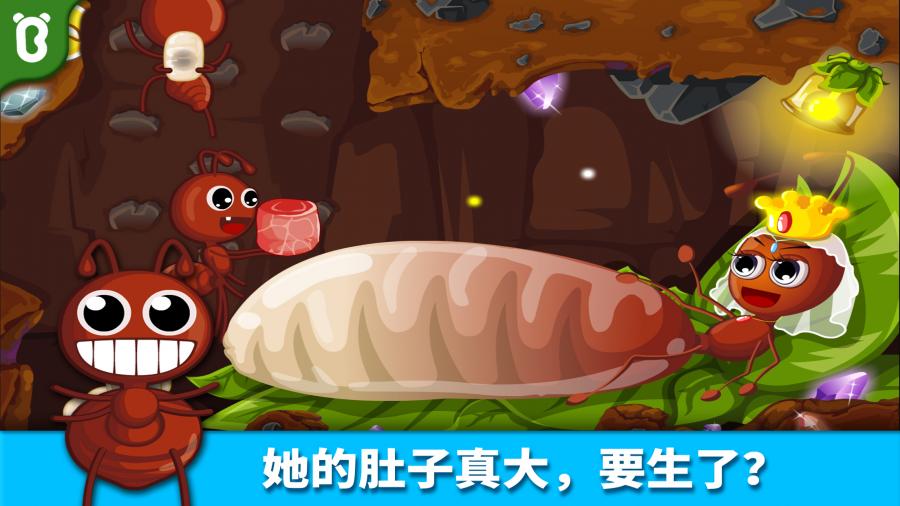 宝宝认蚂蚁宝宝巴士52388