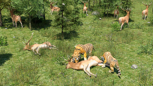 野生老虎模拟器中文版0
