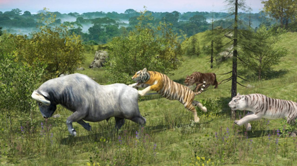 野生老虎模拟器中文版1