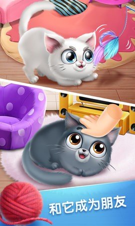 口袋猫咪免费版53674