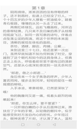 镇国小说2