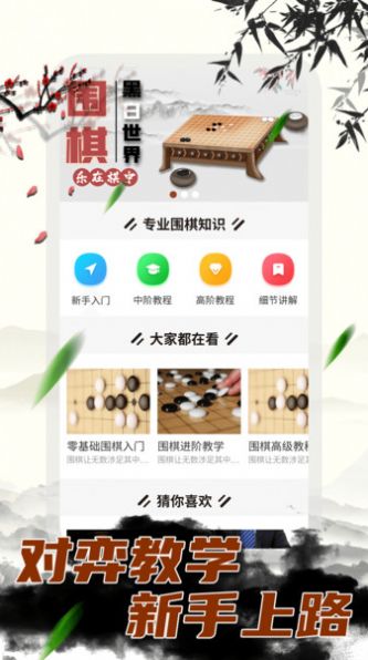 大师围棋2